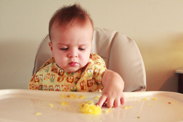 We made switch to BLW… Carlos at 7mo was not the best at Purees